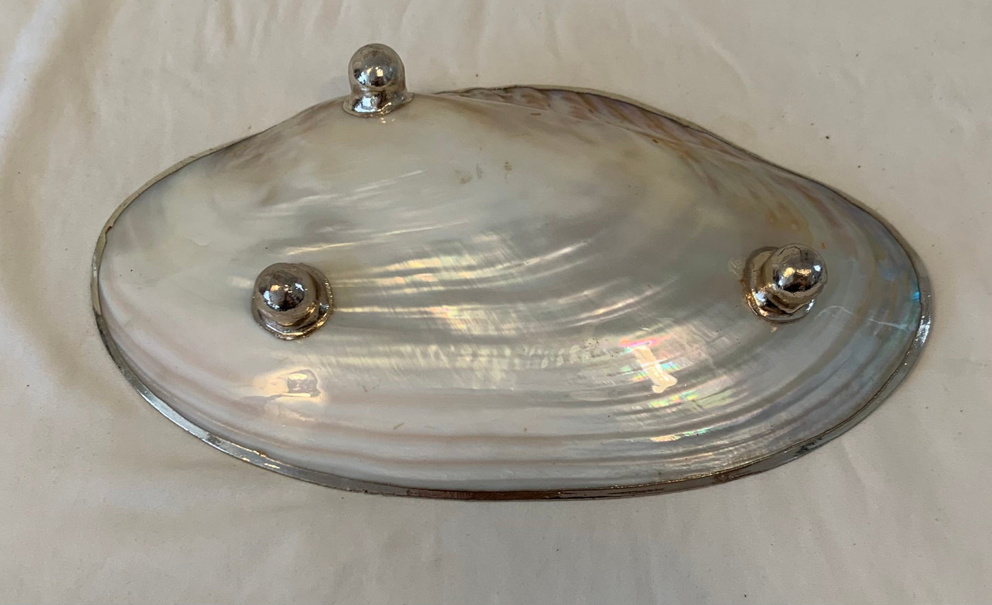 Shell Appetizer Plate