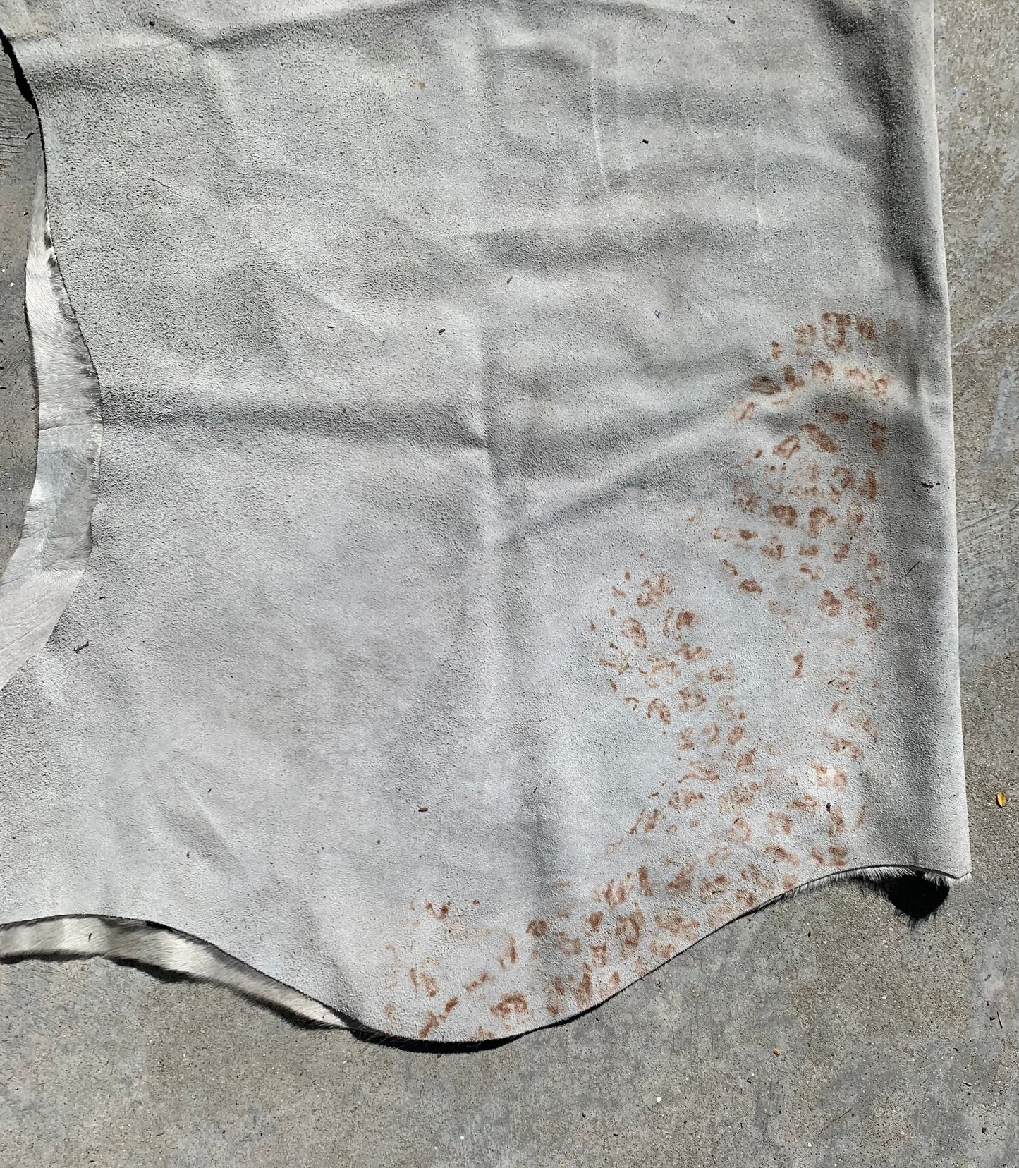 Cowhide rug with Zebra Pattern