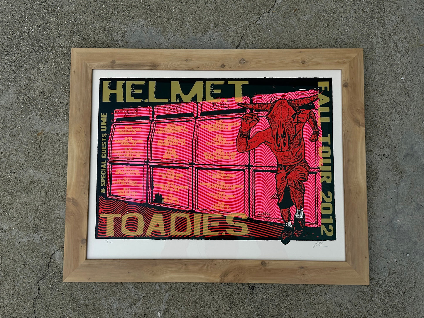 Toadies, Helmet, and Ume Framed Poster
