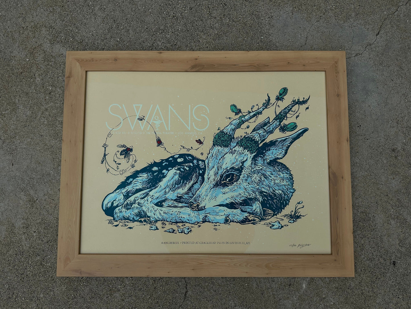 Swans Framed Poster