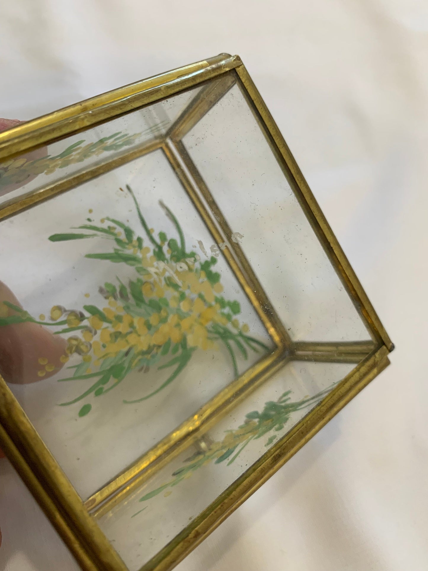 Vintage hand painted Glass Box