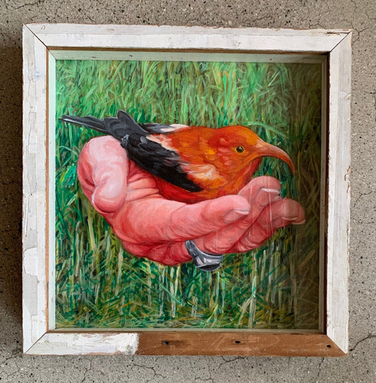 I'iwi in a Pink Hand by Gaia